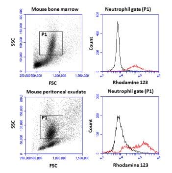 Respiratory Burst Assay Kit (Neutrophil/Monocyte)(ab236210)