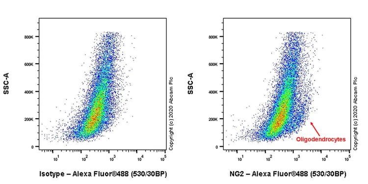 Anti-NG2 antibody [EPR23976-145] - BSA and Azide free(AB275038)
