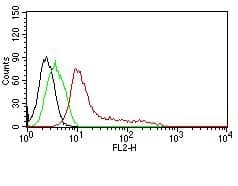 Anti-Human Nuclear Antigen antibody [235-1] - BSA and Azide free(AB216943)