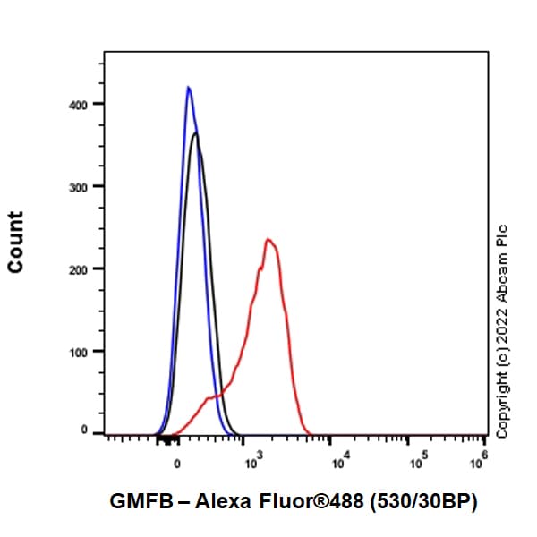 Anti-GMFB antibody [EPR25849-25] - BSA and Azide free(AB303513)