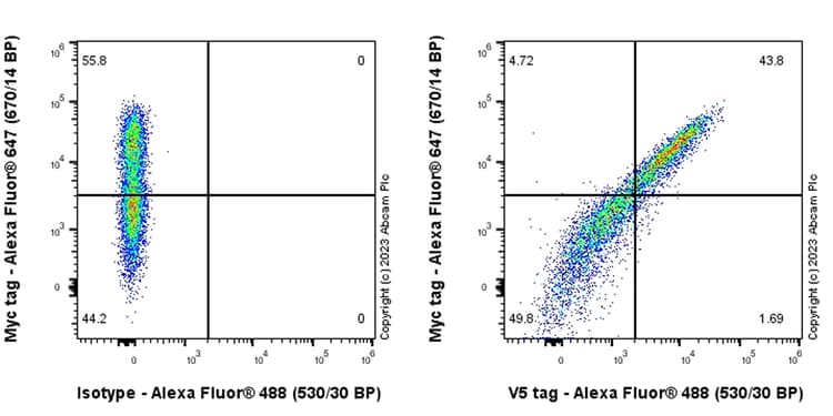 Anti-V5 tag antibody [EPR27187-61](AB309485)