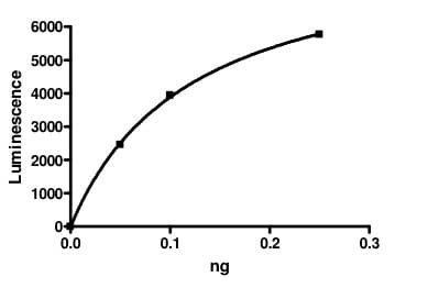 Recombinant human EHMT2/G9A protein(AB198156)