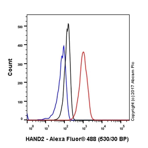 Anti-HAND2 antibody [EPR19451](AB200040)