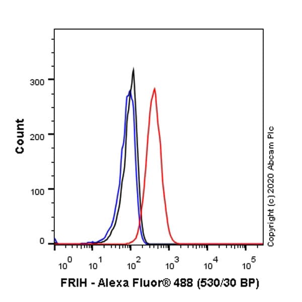 Anti-Ferritin heavy chain antibody [EPR3004Y](ab75973)