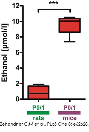 Ethanol Assay Kit(AB65343)