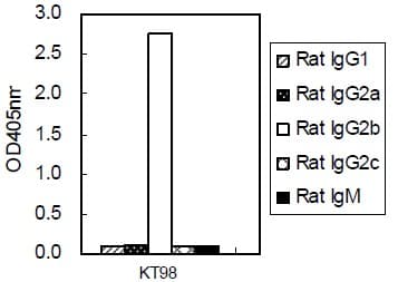 Mouse monoclonal [KT98] Anti-Rat IgG2b H&L (HRP)(AB106750)