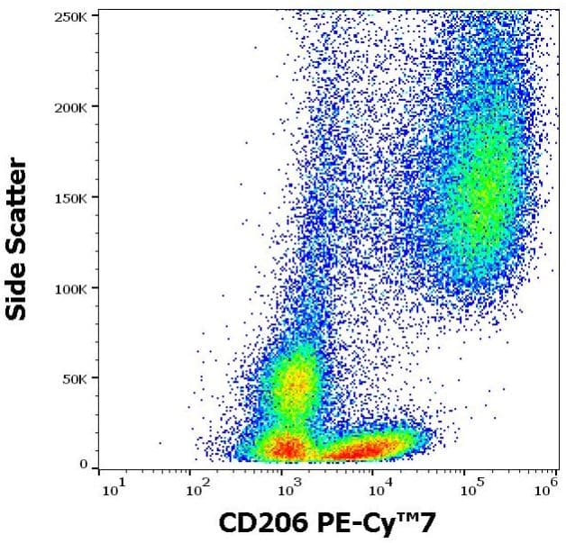 PE/Cy7® Anti-Mannose Receptor antibody [15-2](AB270682)