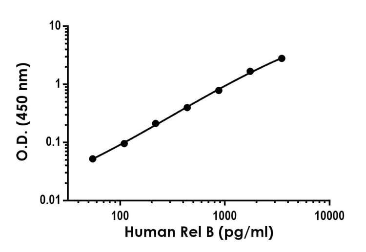 Anti-Rel B antibody [EPR613-41] - BSA and Azide free (Detector)(AB277672)