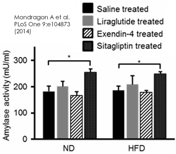 Amylase Assay Kit (Colorimetric)(AB102523)