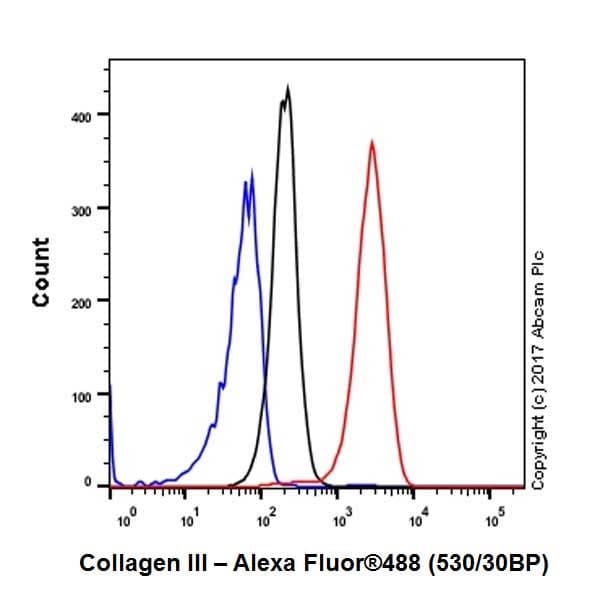 Anti-Collagen III antibody [EPR17673](AB184993)