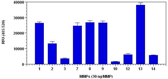 MMP Activity Assay Kit (Fluorometric - Green)(AB112146)