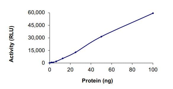 Recombinant mouse RIP protein (Active)(AB268944)