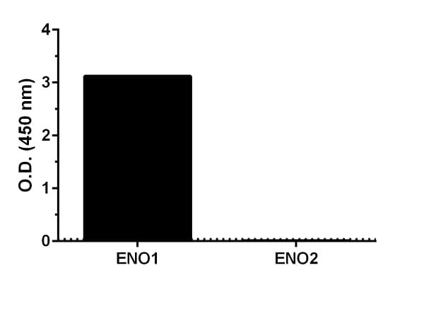 Human ENO1 ELISA Kit, Fluorescent(AB229405)