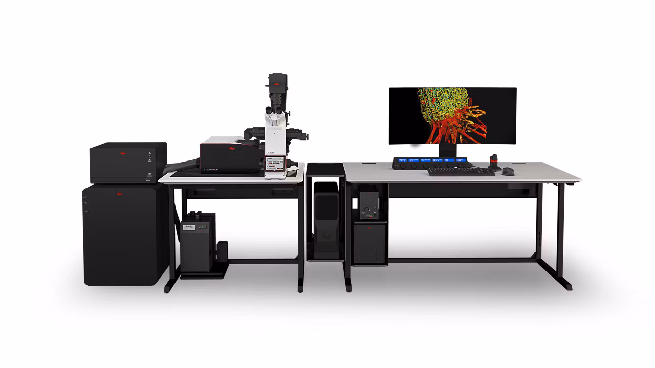 Leica Microsystems Stellaris 8 Image4