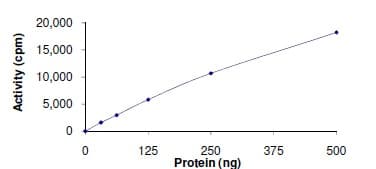 Recombinant human Axl protein(AB167950)
