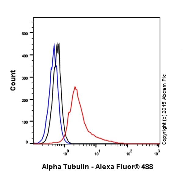 Anti-alpha Tubulin antibody - Microtubule Marker(AB18251)