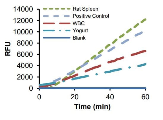 Beta Galactosidase Assay Kit(ab287846)