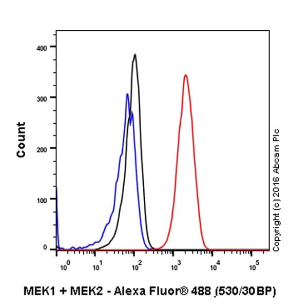 Anti-MEK1 + MEK2 antibody [EPR16667](AB178876)