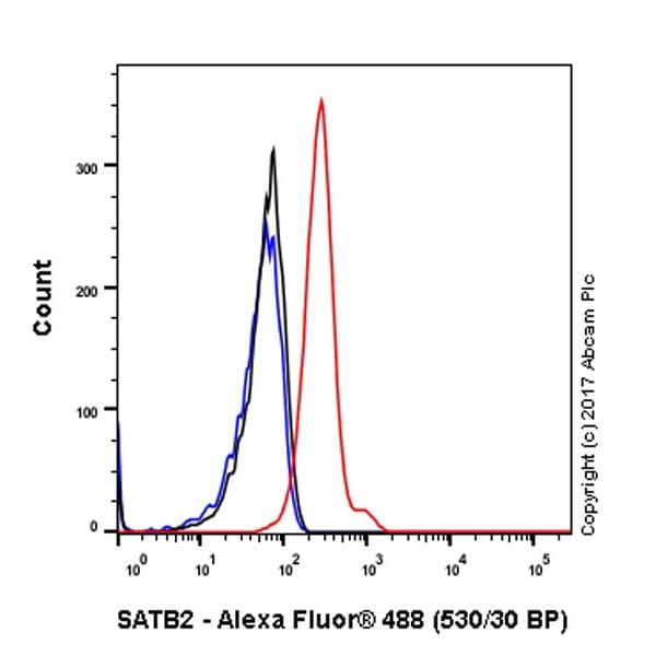 Anti-SATB2 antibody [EPNCIR130A] - BSA and Azide free(AB212177)