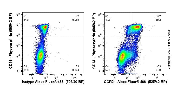 Anti-CCR2 antibody [EPR23494-47](AB254375)