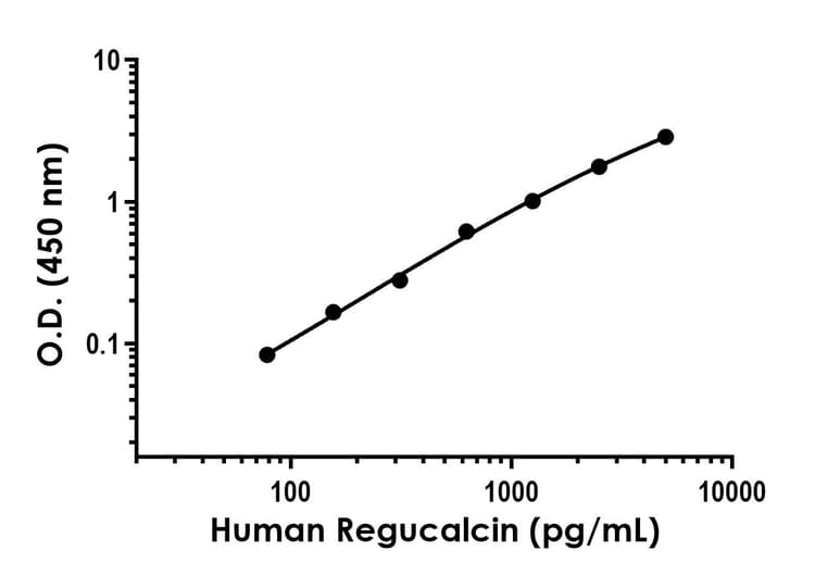 Anti-SMP30 antibody [EPR22052-155] - BSA and Azide free (Detector)(AB281014)