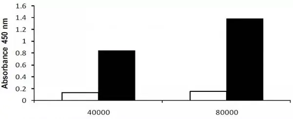 LDH Assay Kit (Cytotoxicity)(AB65393)