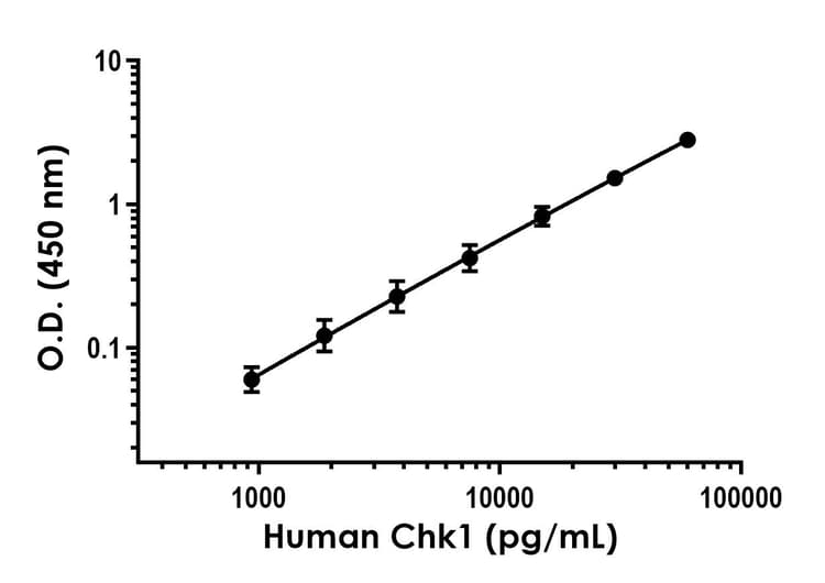 Human Chk1 Elisa Kit Ab304942  Sandwich Elisa Img416315