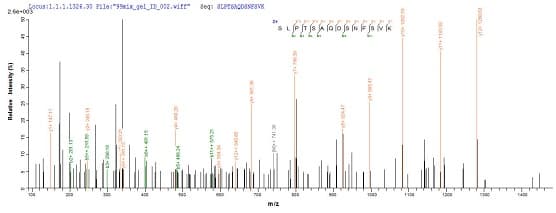 Recombinant EBV gp340/220 Envelope Protein (Tagged)(ab237750)
