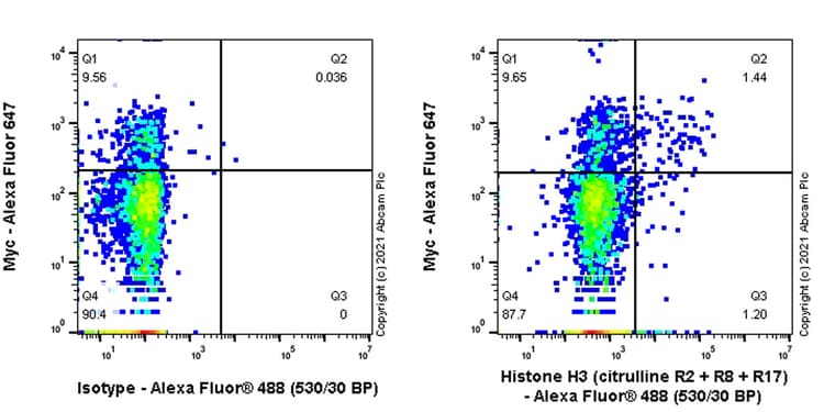 Anti-Histone H3 (citrulline R2 + R8 + R17) antibody [RM1001](AB281584)