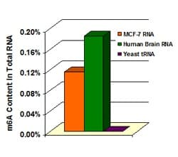 m6A RNA Methylation Assay Kit (Colorimetric)(AB185912)
