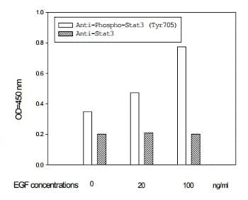 STAT3 (Tyr705) In-Cell ELISA Kit(AB126427)
