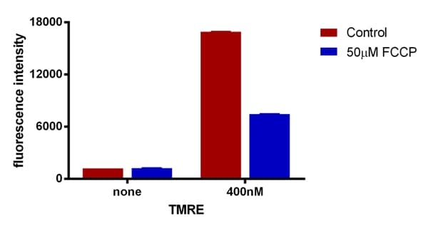 TMRE-Mitochondrial Membrane Potential Assay Kit(AB113852)