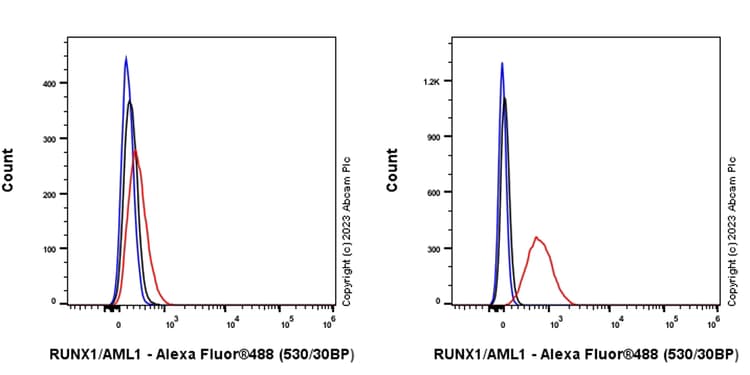 Anti-RUNX1 / AML1 antibody [RM1089] - BSA and Azide free(AB315399)
