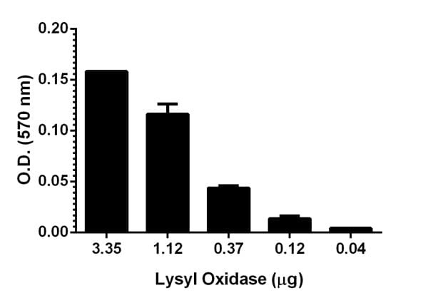 Lysyl Oxidase Activity Assay Kit (Fluorometric)(AB112139)