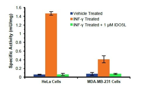 Indoleamine 2,3-Dioxygenase 1 (IDO1) Activity Assay Kit(AB235936)