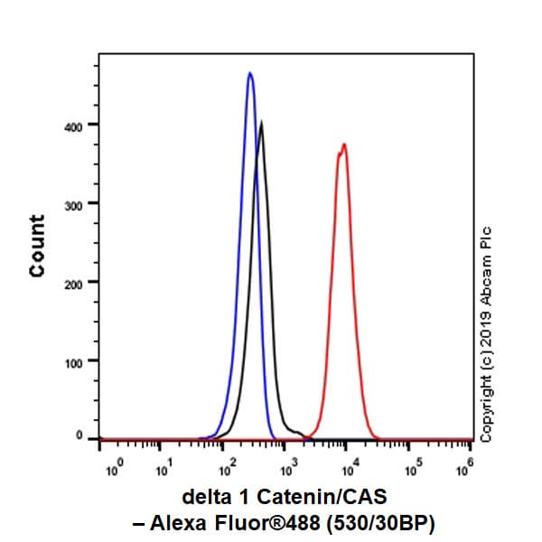 Anti-delta 1 Catenin/CAS antibody [YE372] - BSA and Azide free(AB247228)