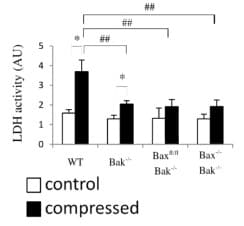 LDH Assay Kit / Lactate Dehydrogenase Assay Kit (Colorimetric)(AB102526)