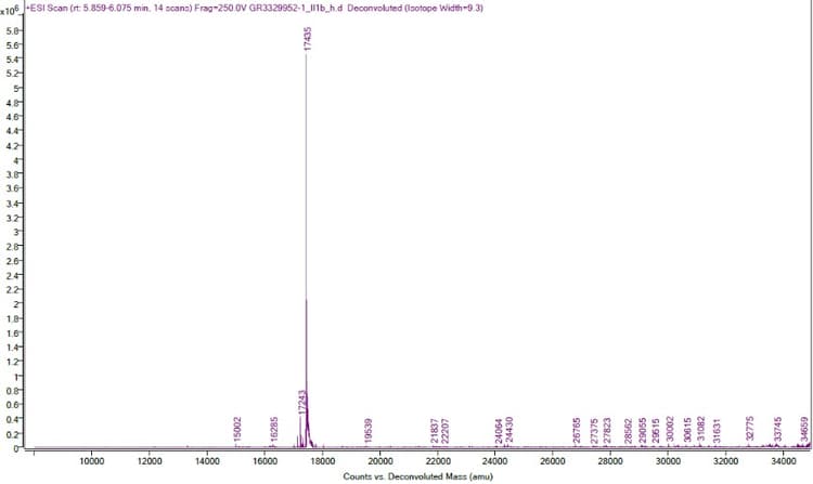 Ab259387  Mass Spectrometry Img108843