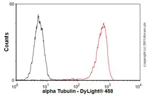 Anti-alpha Tubulin antibody [DM1A] - Loading Control(AB7291)