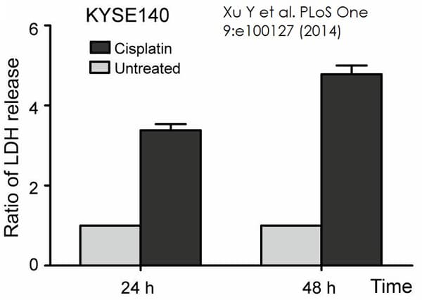 LDH Assay Kit / Lactate Dehydrogenase Assay Kit (Colorimetric)(AB102526)