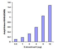 Histone Extraction Kit(AB113476)