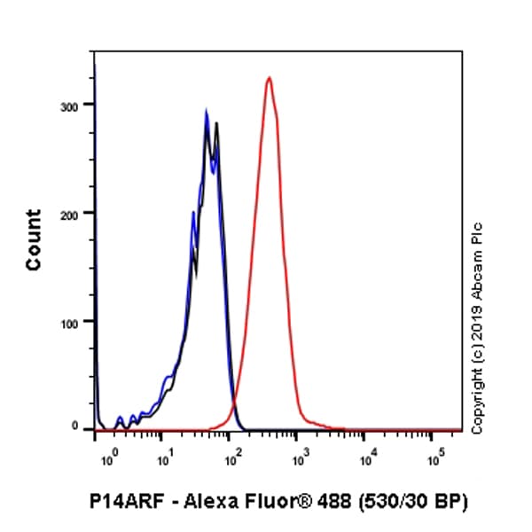 Anti-CDKN2A/p14ARF antibody [SP271] - BSA and Azide free(AB271999)