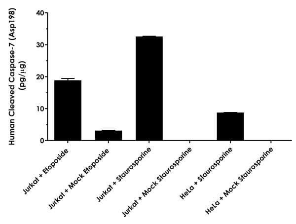 Human Cleaved Caspase-7 (Asp198) ELISA Kit(AB275900)