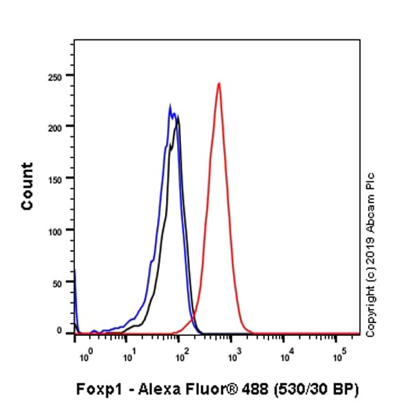 Anti-FOXP1 antibody [SP133] - C-terminal(AB227649)