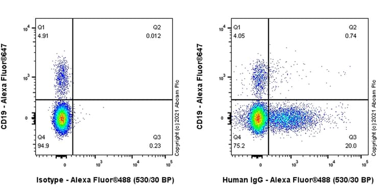 Anti-Human IgG antibody [IG266](AB200699)