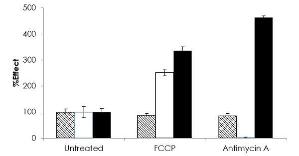 Luminescent ATP Detection Assay