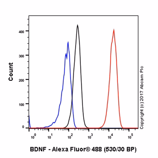 Intracellular Flow Cytometry analysis of HeLa cells labeling BDNF with a primary antibody and a secondary antibody.