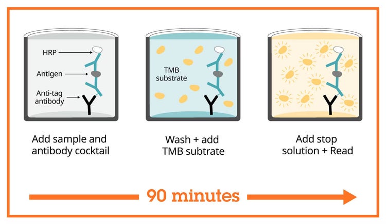 Human IL-6 ELISA Kit
