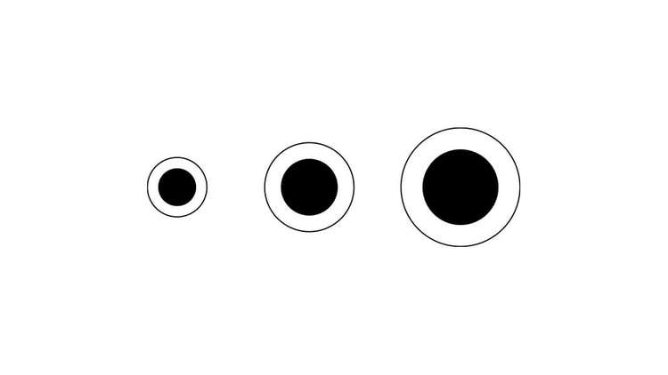 scale-up-growth-cell-growth-and-selection