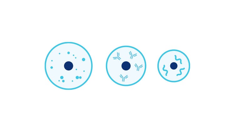 Cell Line Development Process Steps | Danaher Life Sciences